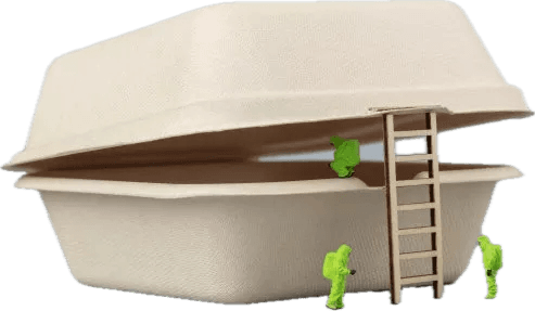 Eco molded-fibre clamshell packaging